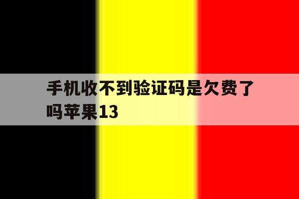 手机收不到验证码是欠费了吗苹果13 手机收不到验证码是欠费了吗苹果13