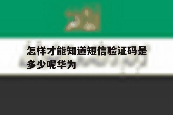 怎样才能知道短信验证码是多少呢华为 怎样才能知道短信验证码是多少呢华为