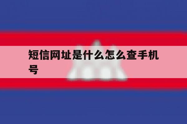 短信网址是什么怎么查手机号 短信网址是什么怎么查手机号