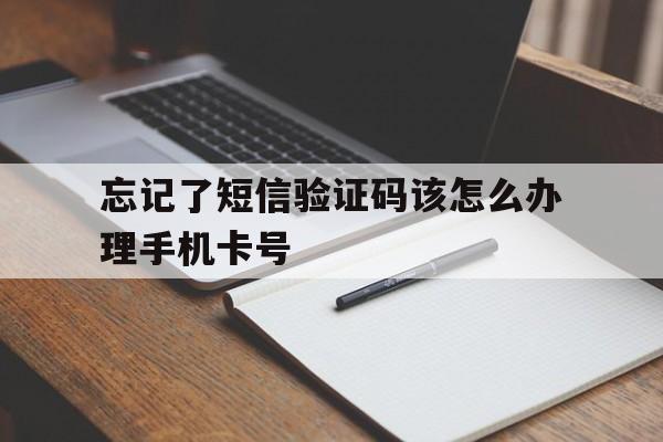 忘记了短信验证码该怎么办理手机卡号 忘记了短信验证码该怎么办理手机卡号