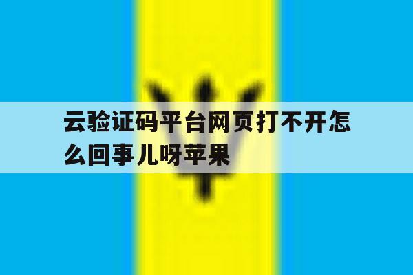 云验证码平台网页打不开怎么回事儿呀苹果 云验证码平台网页打不开怎么回事儿呀苹果