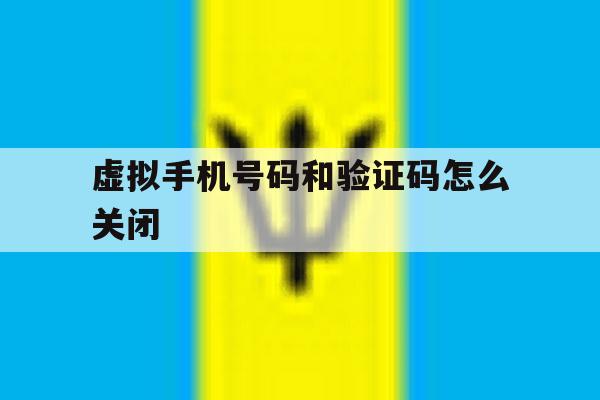 虚拟手机号码和验证码怎么关闭 虚拟手机号码和验证码怎么关闭