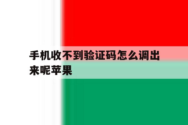 手机收不到验证码怎么调出来呢苹果 手机收不到验证码怎么调出来呢苹果