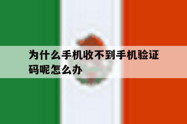 为什么手机收不到手机验证码呢怎么办 为什么手机收不到手机验证码呢怎么办