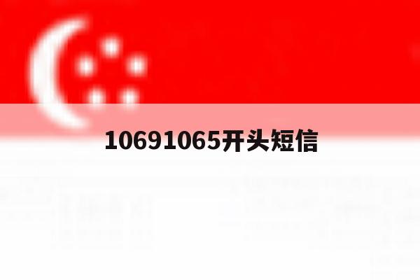 10691065开头短信 10691065开头短信