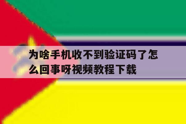 为啥手机收不到验证码了怎么回事呀视频教程下载 为啥手机收不到验证码了怎么回事呀视频教程下载
