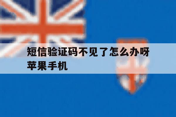 短信验证码不见了怎么办呀苹果手机 短信验证码不见了怎么办呀苹果手机