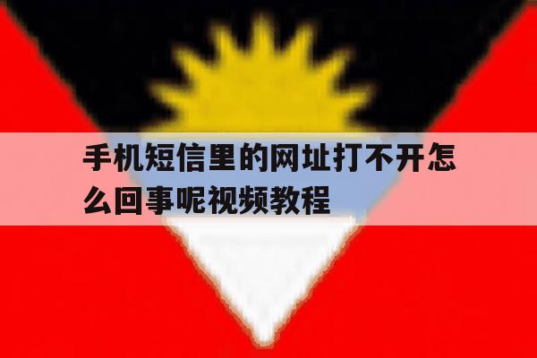 手机短信里的网址打不开怎么回事呢视频教程 手机短信里的网址打不开怎么回事呢视频教程