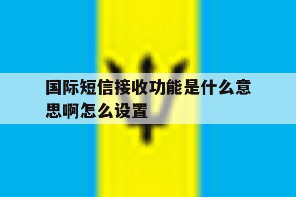 国际短信接收功能是什么意思啊怎么设置 国际短信接收功能是什么意思啊怎么设置