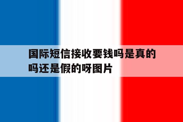 国际短信接收要钱吗是真的吗还是假的呀图片 国际短信接收要钱吗是真的吗还是假的呀图片