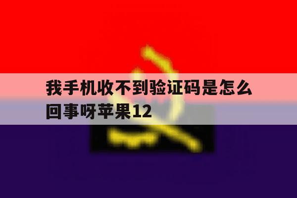 我手机收不到验证码是怎么回事呀苹果12 我手机收不到验证码是怎么回事呀苹果12