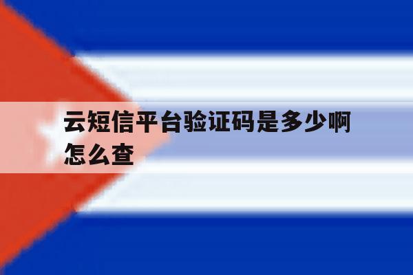 云短信平台验证码是多少啊怎么查 云短信平台验证码是多少啊怎么查
