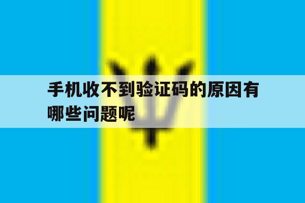 手机收不到验证码的原因有哪些问题呢 手机收不到验证码的原因有哪些问题呢