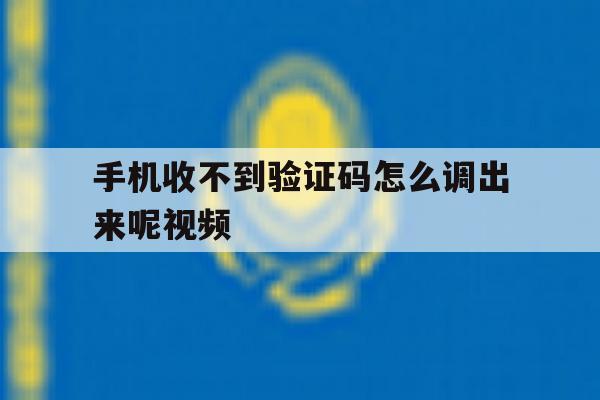 手机收不到验证码怎么调出来呢视频 手机收不到验证码怎么调出来呢视频