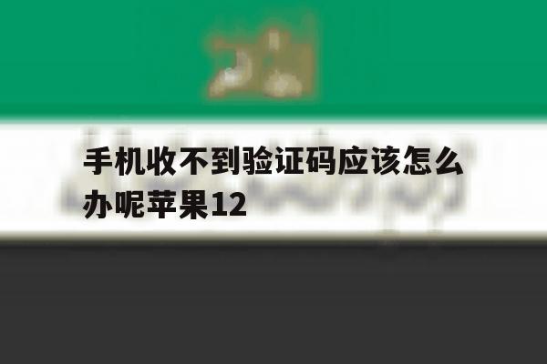 手机收不到验证码应该怎么办呢苹果12 手机收不到验证码应该怎么办呢苹果12