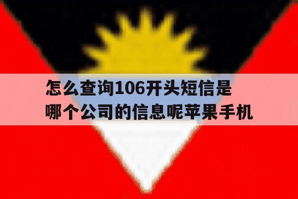 怎么查询106开头短信是哪个公司的信息呢苹果手机 怎么查询106开头短信是哪个公司的信息呢苹果手机