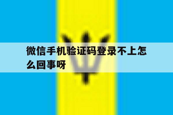 微信手机验证码登录不上怎么回事呀