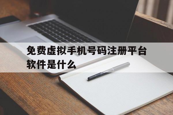 免费虚拟手机号码注册平台软件是什么