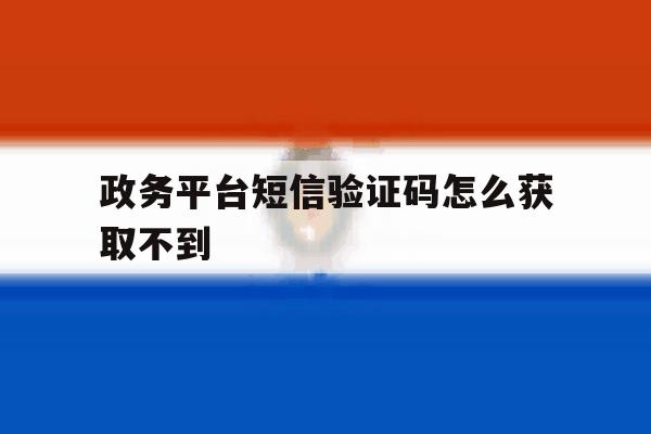 政务平台短信验证码怎么获取不到 政务平台短信验证码怎么获取不到