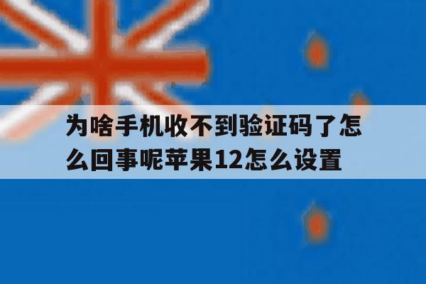 为啥手机收不到验证码了怎么回事呢苹果12怎么设置 为啥手机收不到验证码了怎么回事呢苹果12怎么设置