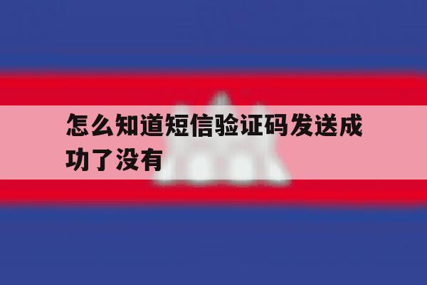 怎么知道短信验证码发送成功了没有 怎么知道短信验证码发送成功了没有