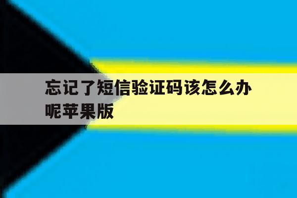 忘记了短信验证码该怎么办呢苹果版 忘记了短信验证码该怎么办呢苹果版