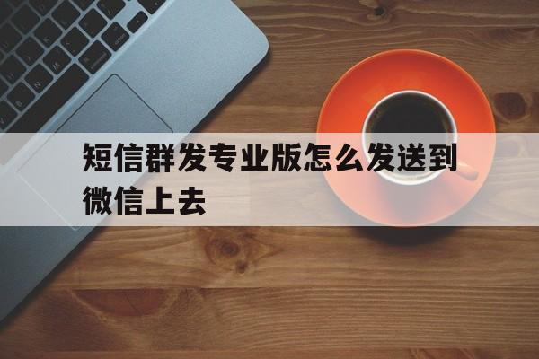 短信群发专业版怎么发送到微信上去 短信群发专业版怎么发送到微信上去