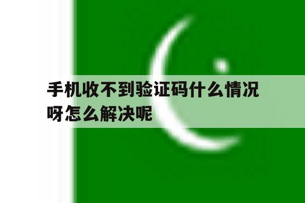 手机收不到验证码什么情况呀怎么解决呢 手机收不到验证码什么情况呀怎么解决呢