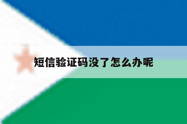短信验证码没了怎么办呢 短信验证码没了怎么办呢