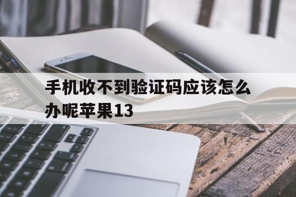 手机收不到验证码应该怎么办呢苹果13 手机收不到验证码应该怎么办呢苹果13