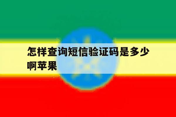 怎样查询短信验证码是多少啊苹果 怎样查询短信验证码是多少啊苹果