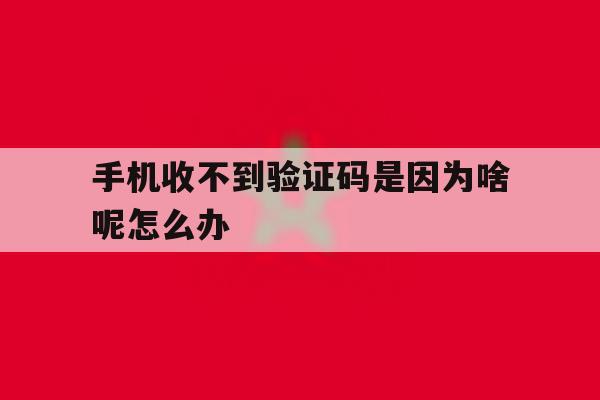手机收不到验证码是因为啥呢怎么办 手机收不到验证码是因为啥呢怎么办