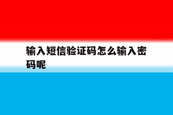 输入短信验证码怎么输入密码呢 输入短信验证码怎么输入密码呢