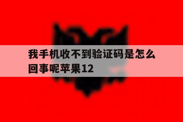 我手机收不到验证码是怎么回事呢苹果12 我手机收不到验证码是怎么回事呢苹果12