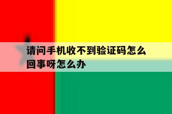 请问手机收不到验证码怎么回事呀怎么办 请问手机收不到验证码怎么回事呀怎么办