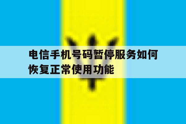 电信手机号码暂停服务如何恢复正常使用功能 电信手机号码暂停服务如何恢复正常使用功能
