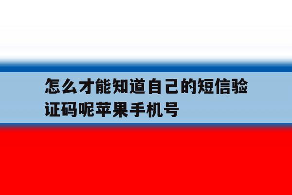 怎么才能知道自己的短信验证码呢苹果手机号 怎么才能知道自己的短信验证码呢苹果手机号